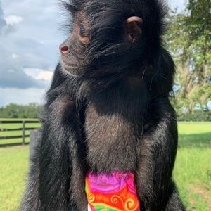 Meet your Posher, Terri